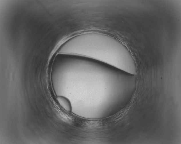 X0000081460102200701121052
