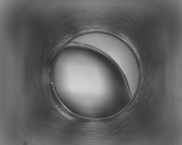X0000081460105200701121052