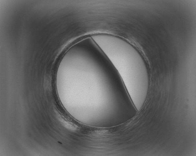 X0000081460108200701121052
