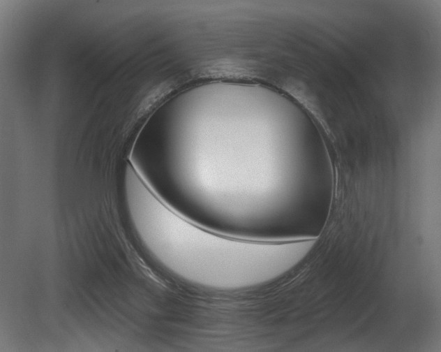 X0000081460109200701121052