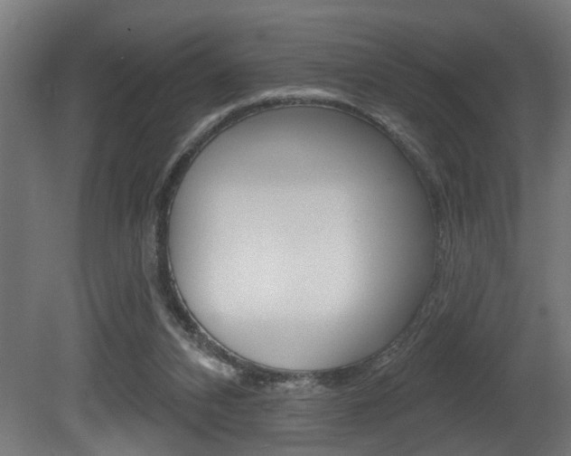 X0000081460112200701121052