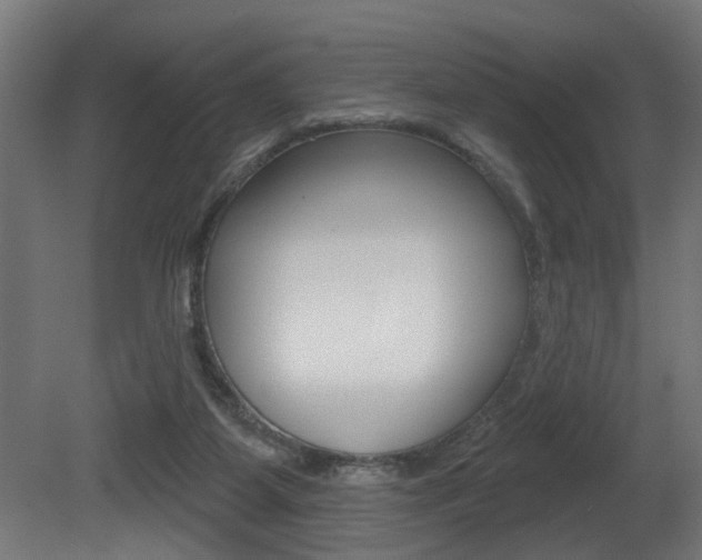 X0000081460115200701121052