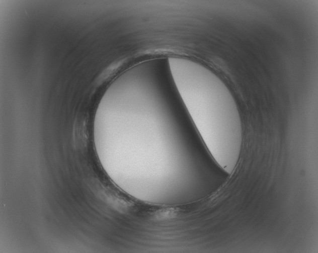 X0000081460116200701121052