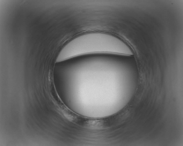 X0000081460117200701121052