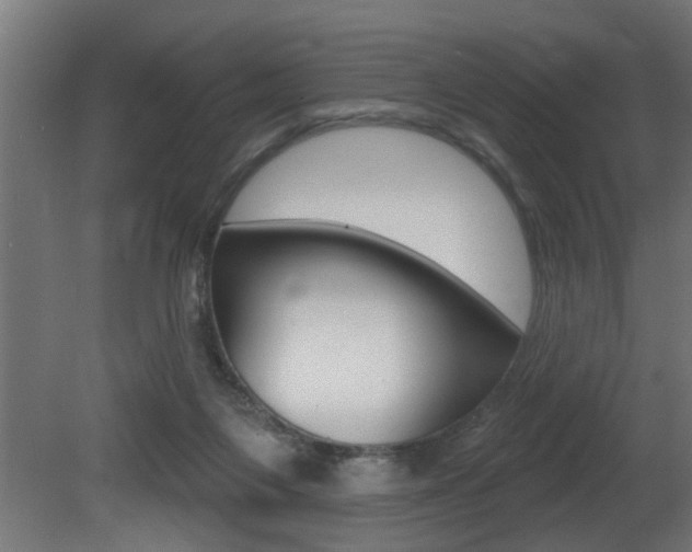 X0000081460119200701121052