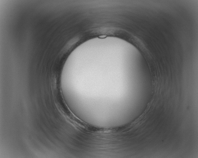 X0000081460120200701121052