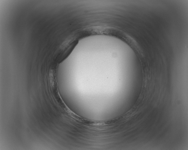 X0000081460121200701121052