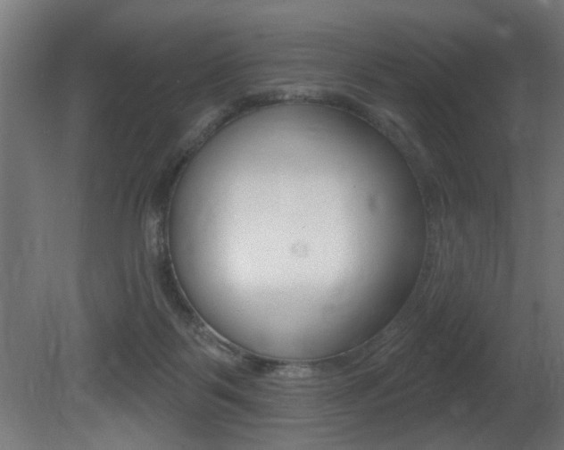 X0000081460123200701121052