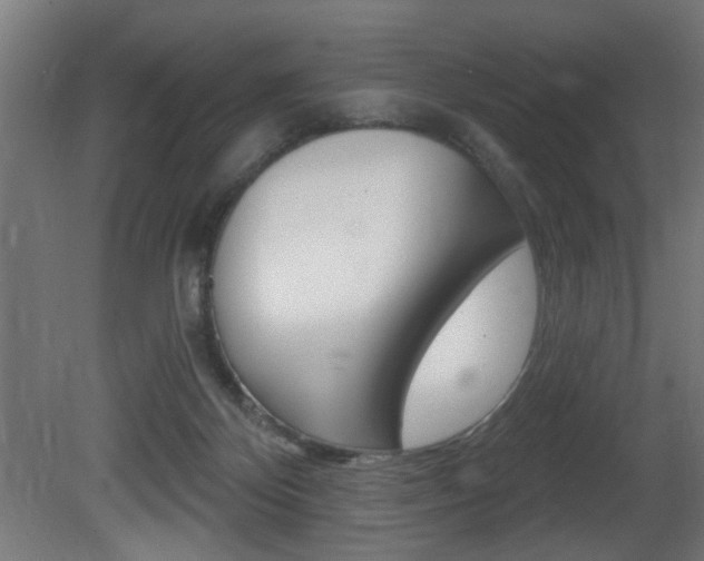 X0000081460124200701121052