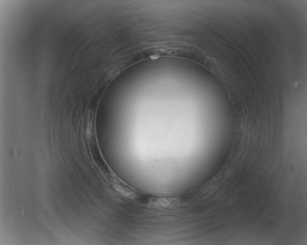 X0000081460129200701121051