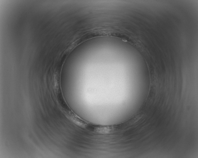 X0000081460131200701121051