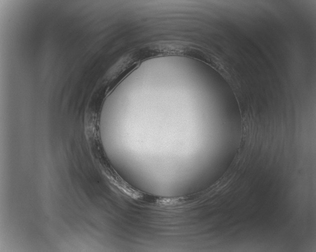 X0000081460141200701121051