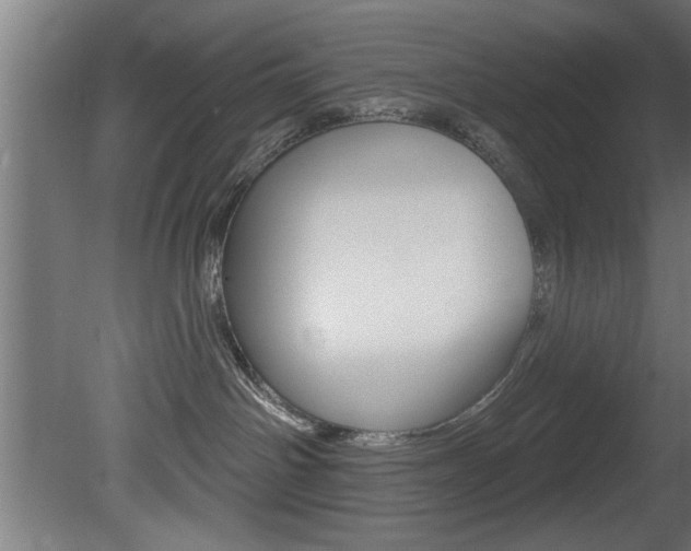 X0000081460142200701121051