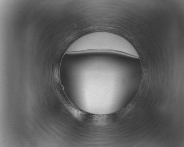 X0000081460143200701121051