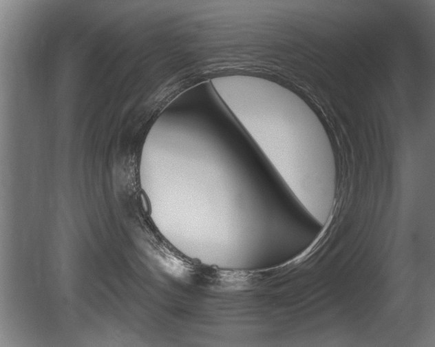 X0000081460144200701121051