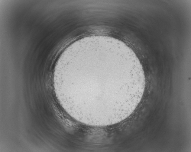 X0000081460146200701121050