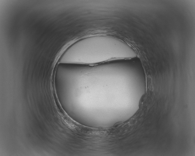 X0000081460147200701121050