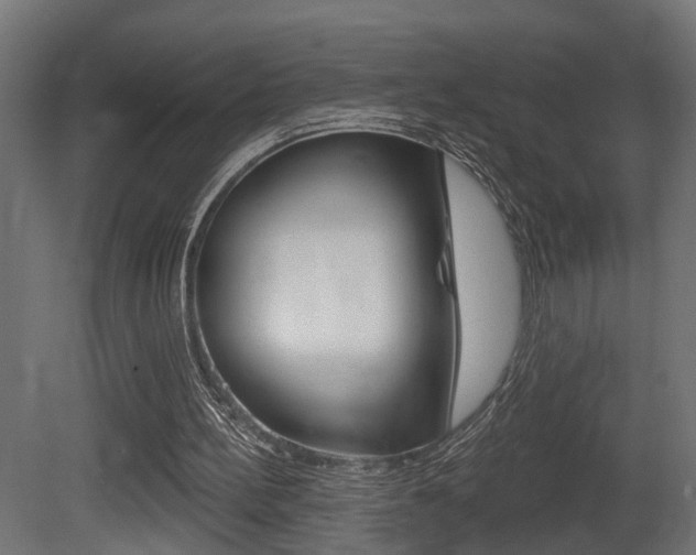 X0000081460148200701121050