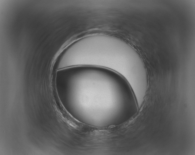 X0000081460150200701121050