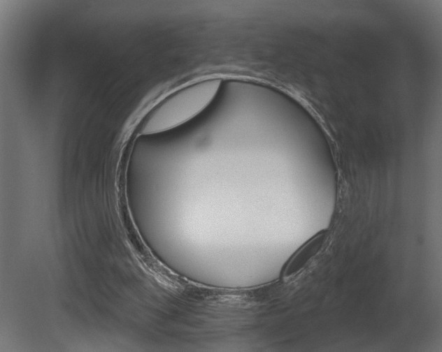 X0000081460151200701121050