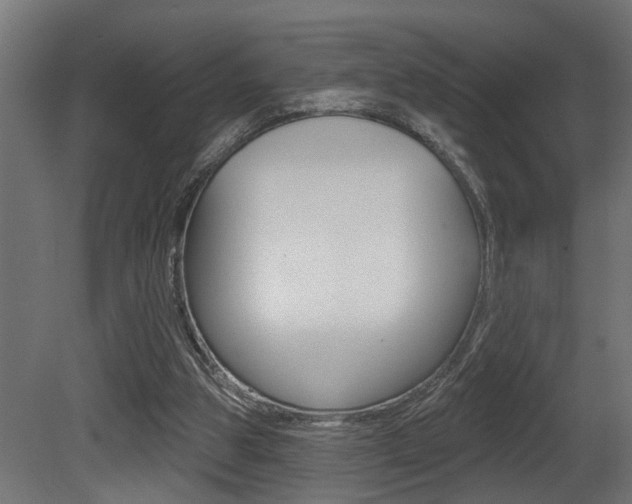 X0000081460153200701121050
