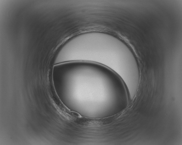 X0000081460154200701121051