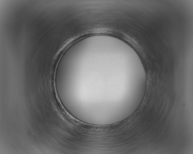 X0000081460155200701121051