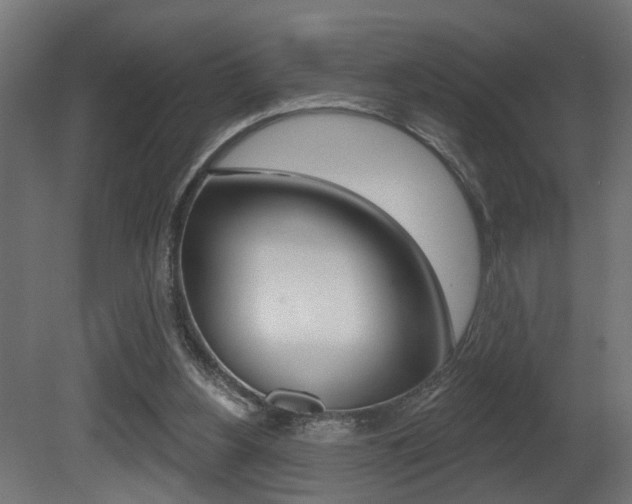 X0000081460156200701121051