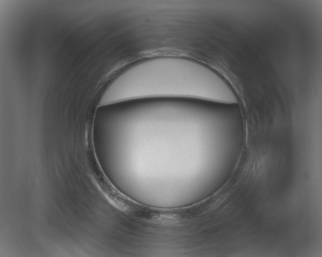 X0000081460157200701121051