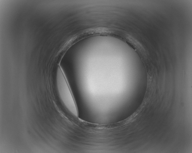 X0000081460158200701121051