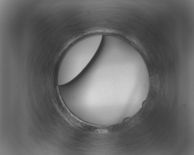 X0000081460159200701121051