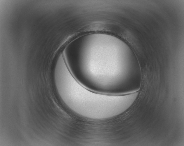 X0000081460160200701121051