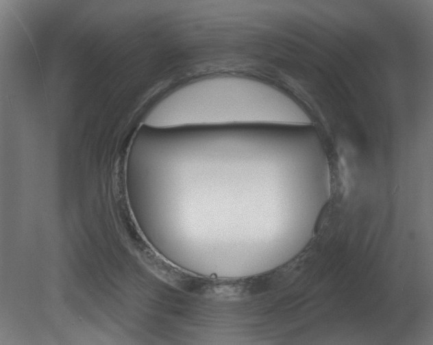 X0000081460163200701121051