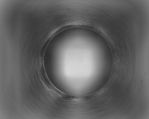 X0000081460164200701121051