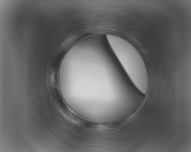 X0000081460166200701121051