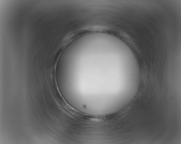 X0000081460167200701121051