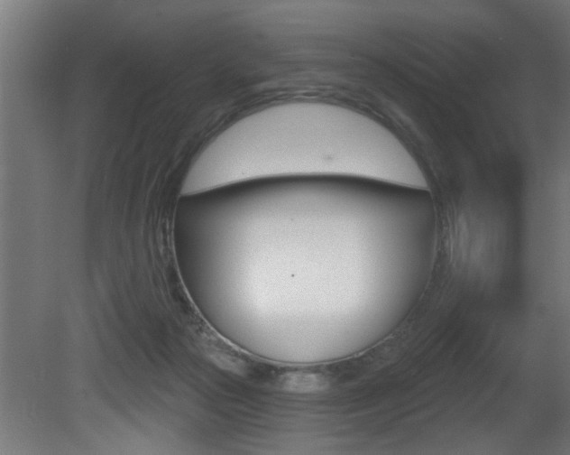 X0000081460169200701121051