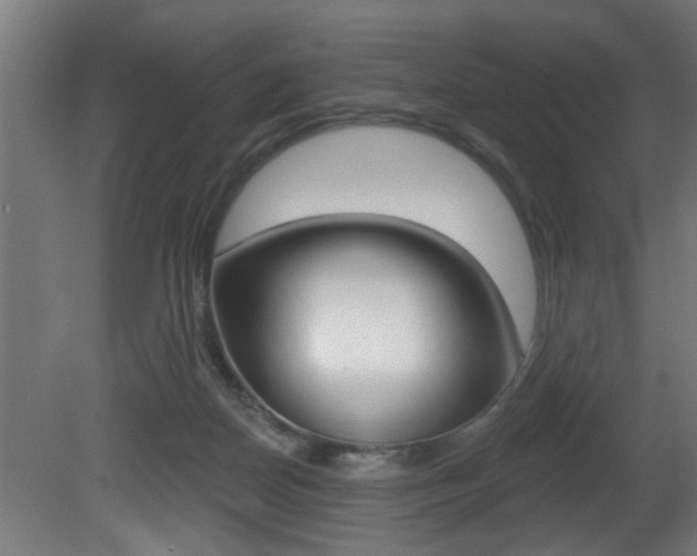 X0000081460170200701121051