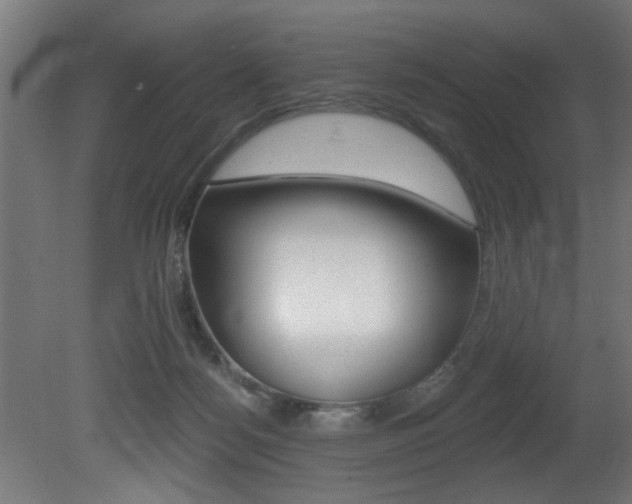 X0000081460172200701121051