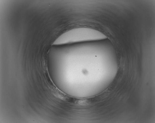 X0000081460173200701121051