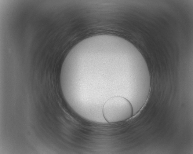 X0000081460174200701121051