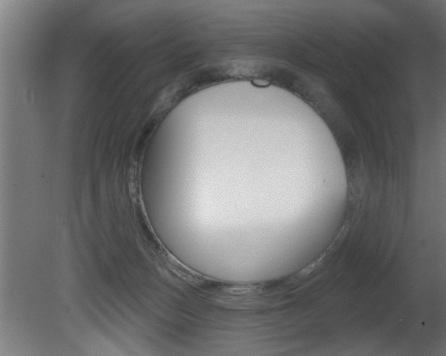 X0000081460175200701121051