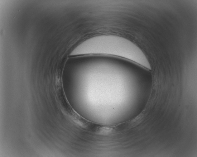 X0000081460176200701121051
