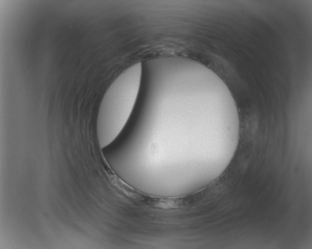 X0000081460177200701121051