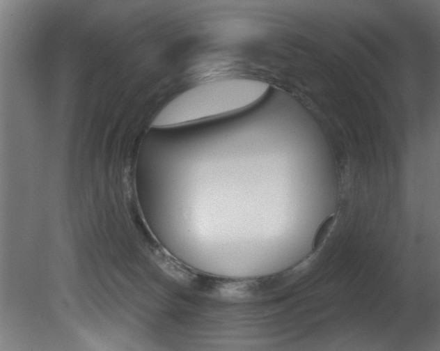 X0000081460178200701121051