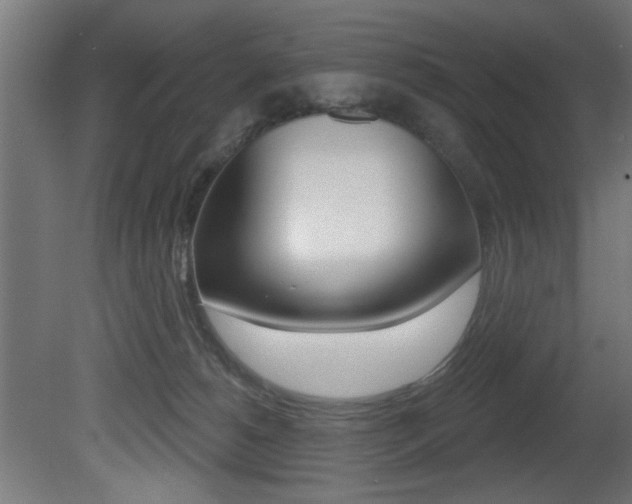 X0000081460180200701121051