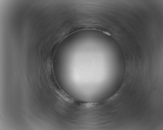 X0000081460184200701121051
