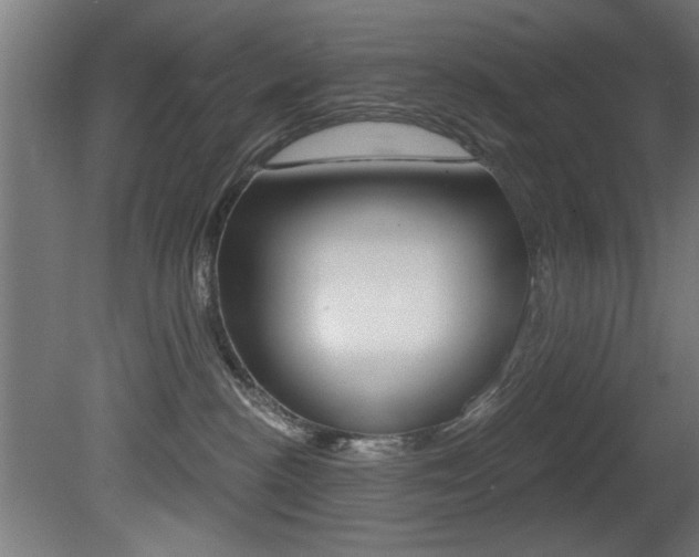 X0000081460188200701121051