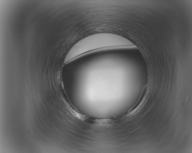X0000081460192200701121051