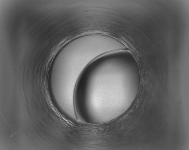 X0000081460193200701121050